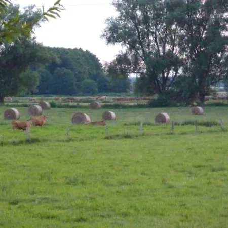 In With Barbecue Zirchow